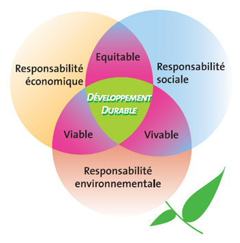 Social Economie Energie